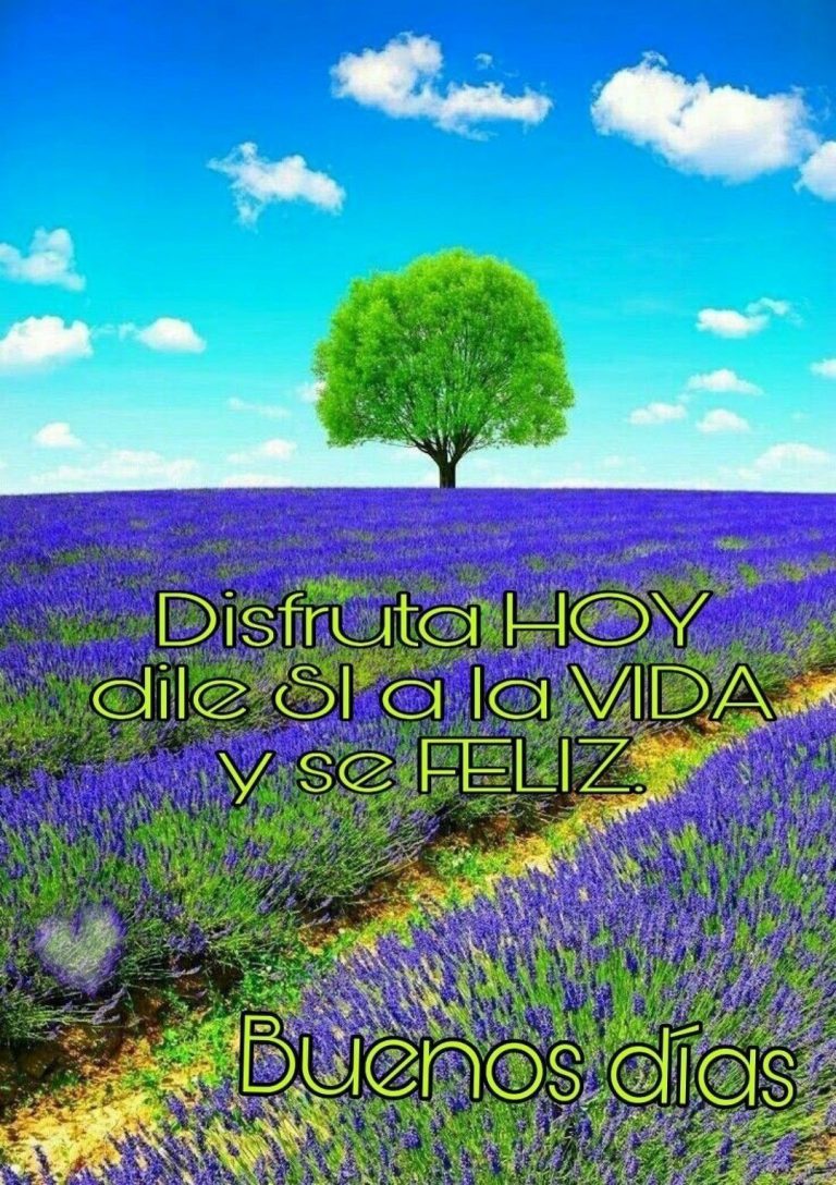 Imagenes De Buenos Dias Nuevas Para Descargar