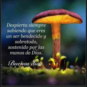 Imagenes De Buenos Dias Para El Amor