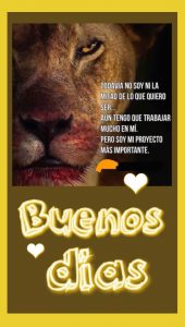 Imagenes De Buenos Dias Para El Amor De Mi Vida Para Descargar