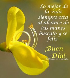 Imagenes De Buenos Dias Para El Amor De Mi Vida Para Una Amiga