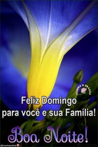 Imagenes De Buenos Dias Para El Domingo Para Celular