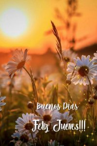 Imagenes De Buenos Dias Para El Para Descargar