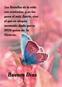 Imagenes De Buenos Dias Para El Para Mi Amor