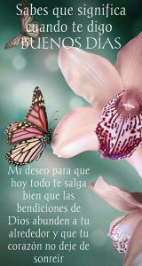 Imagenes De Buenos Dias Para Enamorar A Una Mujer