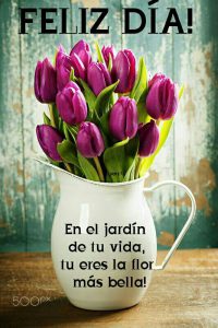 Imágenes de buenos días para enamorar a una mujer para una amiga
