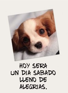 Imagenes De Buenos Dias Para Enamorar Para Celular