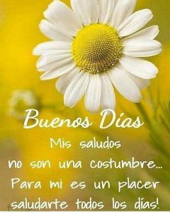 Imagenes De Buenos Dias Para Mi Amor Para Una Amiga