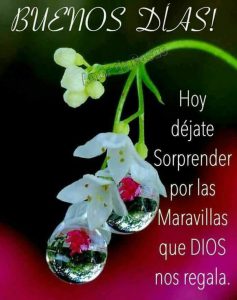 Imagenes De Buenos Dias Para Mi Amor Para Whatsapp