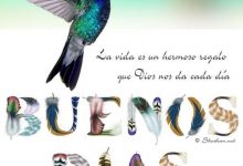 Photo of Imagenes De Buenos Dias Para Mujeres Para Mi Amor
