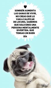 Imagenes De Buenos Dias Para Tu Amor Para Celular