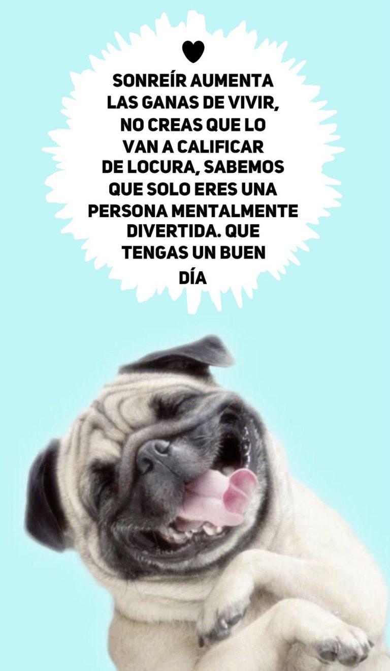 Imagenes De Buenos Dias Para Tu Amor Para Celular