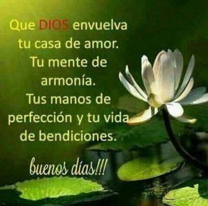 Imagenes De Buenos Dias Para Tu Amor Para Mi Amor