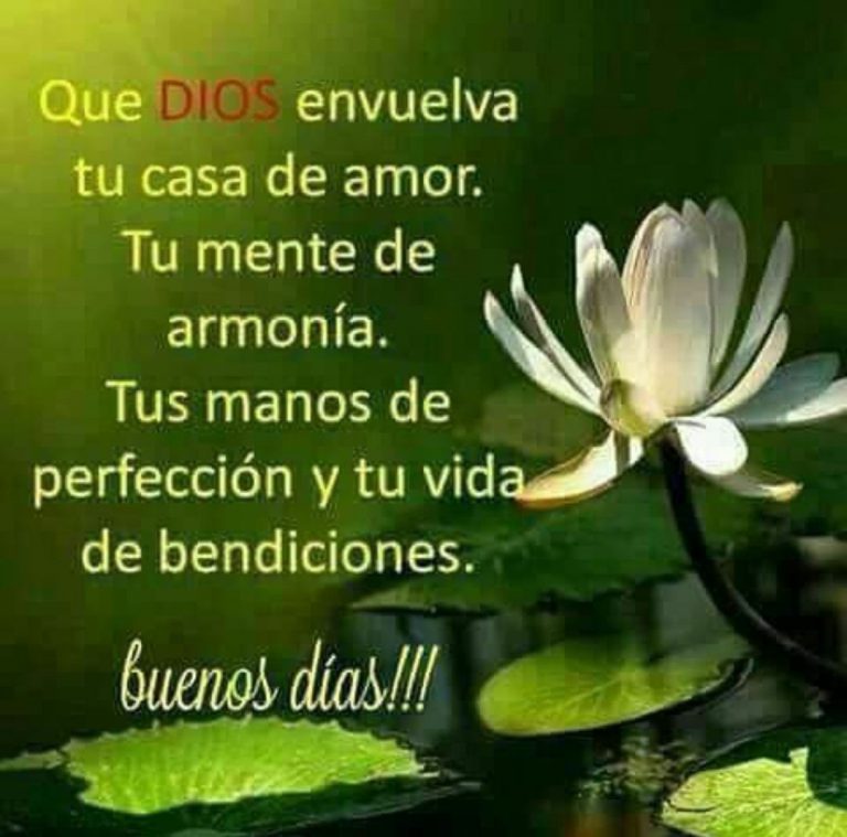 Imagenes De Buenos Dias Para Tu Amor Para Mi Amor