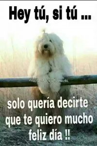 imágenes de buenos días para una amiga especial para mi amor