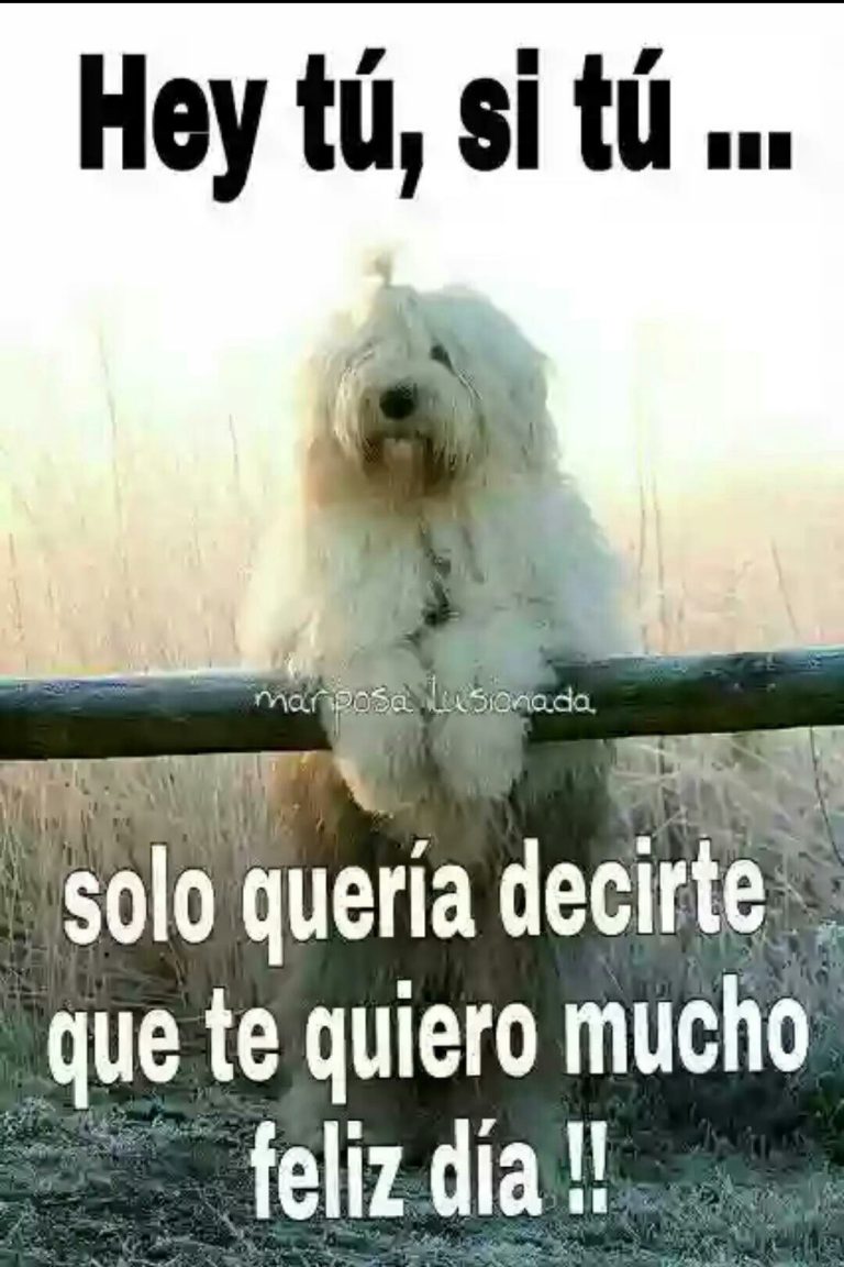 Imagenes De Buenos Dias Para Una Amiga Especial Para Mi Amor