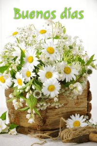 Imagenes De Buenos Dias Para Una Mujer Hermosa Para Una Amiga