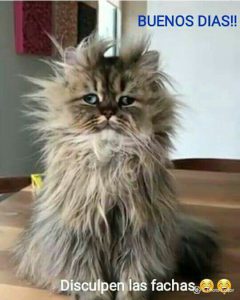 Imagenes De Buenos Dias Para Una Mujer Hermosa Para Whatsapp