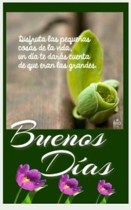 Imagenes De Buenos Dias Preciosa
