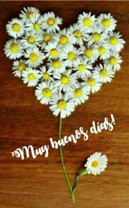 Imagenes De Buenos Dias Preciosa Para Celular