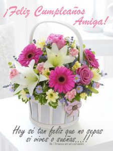 Imagenes De Cumpleaños D Para Descargar Por Whatsapp