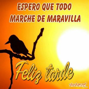 Imagenes De Dar Las Buenas Tardes Para Whatsapp Celular