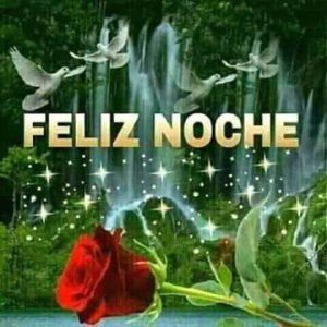 Imagenes De De Buenas Noches Para Facebook