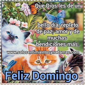 Imagenes De Dia Domingo Para Celular