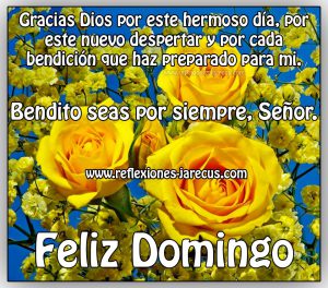 Imagenes De Domingo Buenos Dias Para Celular
