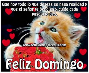 Imagenes De Domingo Para Celular