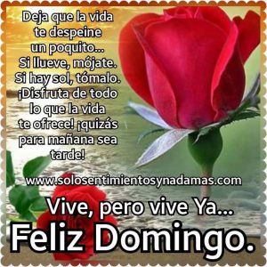 Imagenes De Domingo Para Facebook Para Celular