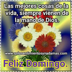 Imagenes De Domingo Para Whatsapp Para Celular