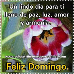 Imagenes De Feliz Domingo Animadas Para Celular