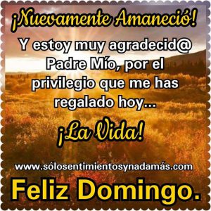 Imagenes De Feliz Domingo Con Frases Bonitas Para Celular
