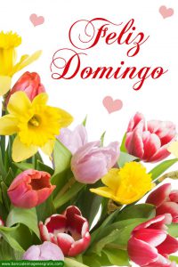 Imagenes De Feliz Domingo Con Frases Cristianas Para Celular