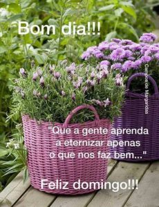 Imagenes De Feliz Domingo Graciosas Para Celular