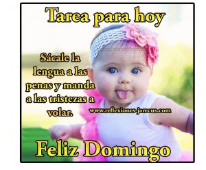 Imagenes De Feliz Domingo Mi Amor Para Celular