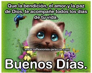 Imágenes de feliz domingo para compartir en Facebook para celular