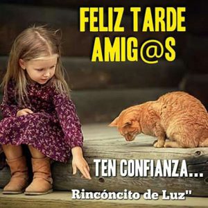 Imagenes De Feliz Tarde Amiga Para Whatsapp Celular