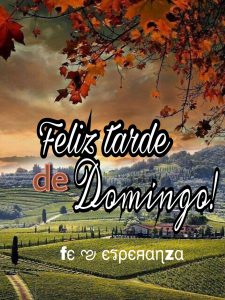 Imagenes De Feliz Tarde Amor Para Facebook Y Whatsapp