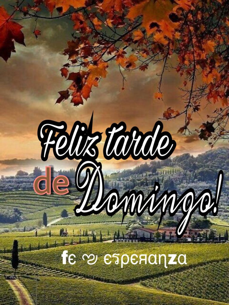 Imagenes De Feliz Tarde Amor Para Facebook Y Whatsapp