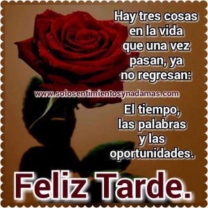Imagenes De Feliz Tarde De Viernes Para Facebook Y Whatsapp