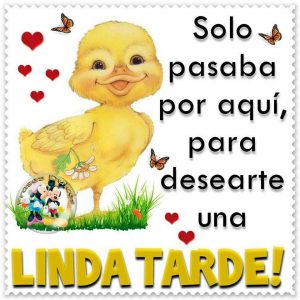 Imágenes de feliz tarde mi amor para WhatsApp celular