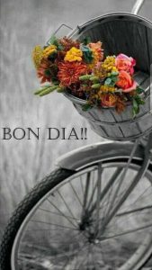 Imagenes De Frases De Buenos Dias Amor Para Una Amiga