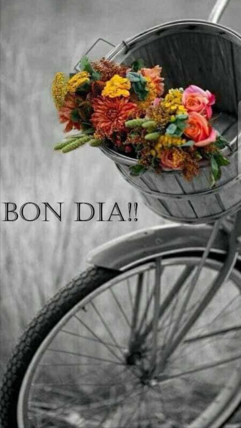 Imagenes De Frases De Buenos Dias Amor Para Una Amiga
