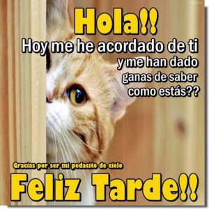 Imagenes De Hola Buenas Tardes Para Facebook Y Whatsapp