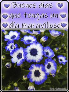 Imagenes De Hola Buenos Dias Mi Amor Para Una Amiga