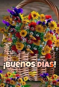 Imagenes De Hola Mi Amor Buenos Dias Para Una Amiga