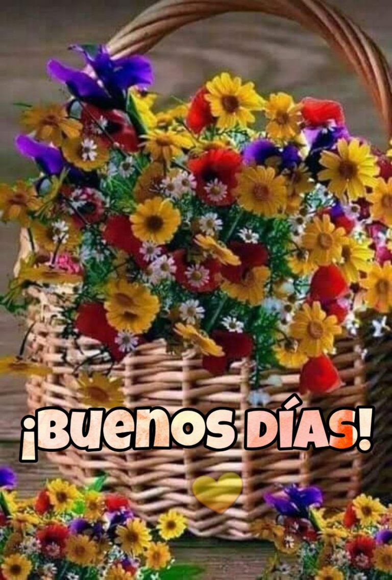 Imagenes De Hola Mi Amor Buenos Dias Para Una Amiga