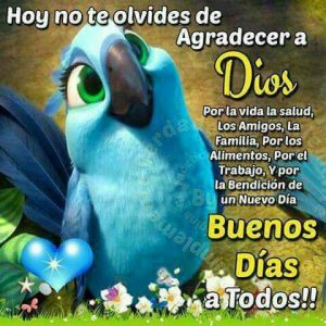 Imagenes De Hola Mi Amor Buenos Dias Para Whatsapp