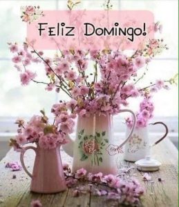 Imagenes De Hoy Domingo Para Celular